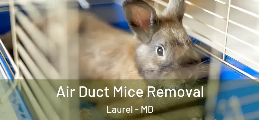 Air Duct Mice Removal Laurel - MD