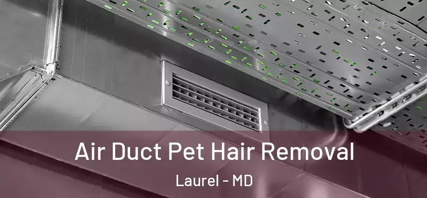  Air Duct Pet Hair Removal Laurel - MD