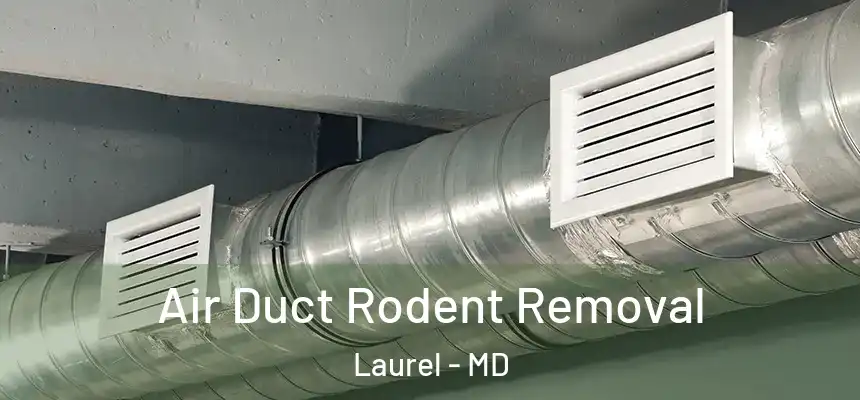  Air Duct Rodent Removal Laurel - MD