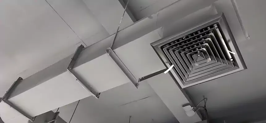 Our Pest Removal From Ducts Services in Laurel, MD