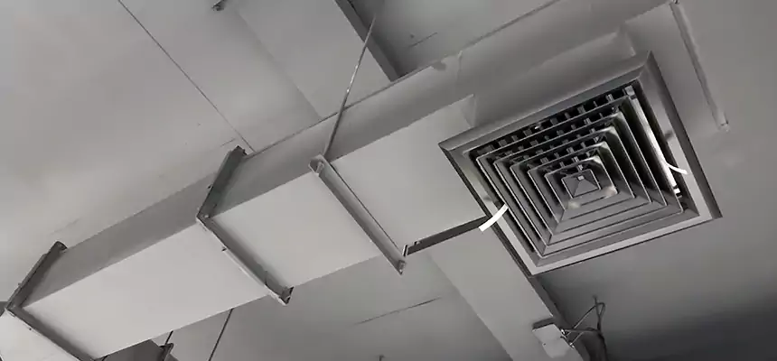 Our Rodent Droppings In Vents Services in Laurel, MD