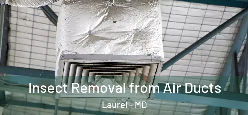  Insect Removal from Air Ducts Laurel - MD