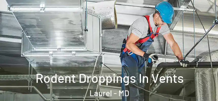  Rodent Droppings In Vents Laurel - MD