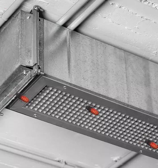 About Air Duct Cockroach Removal in Laurel, MD