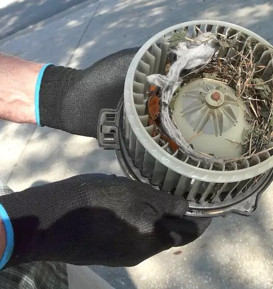 About Air Duct Mice Removal in Laurel, MD