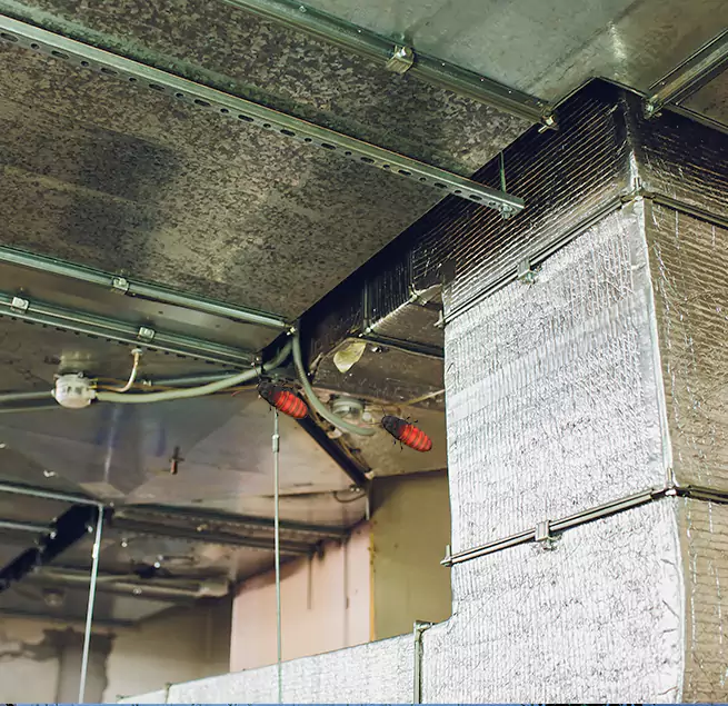 Why Homeowners & Businesses Trust Us Laurel, MD?