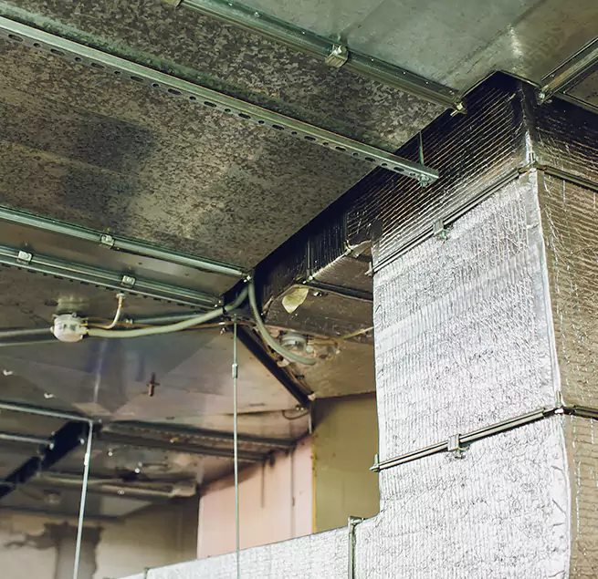 Why Homeowners & Businesses Trust Us in Laurel, MD?