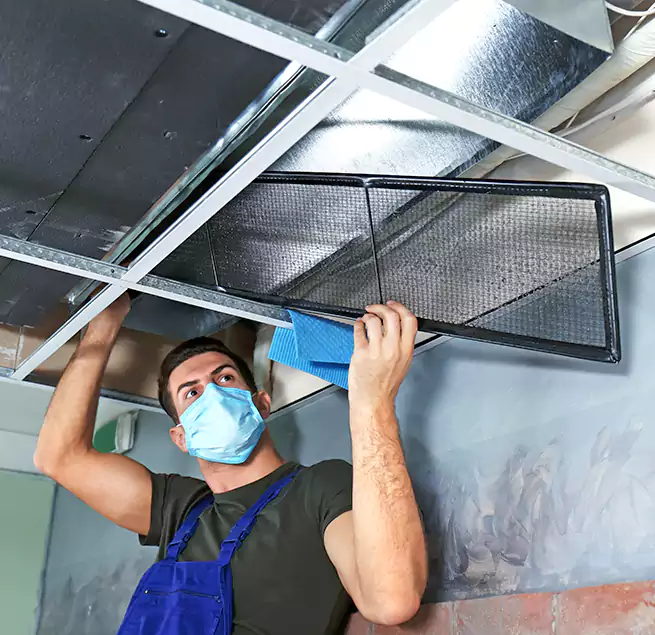 Why Homeowners Businesses Trust Us in Laurel, MD